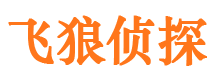 回民侦探